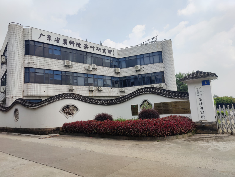 D:\SOFT_PHP_PACKAGE\phptmp\php4038.tmp